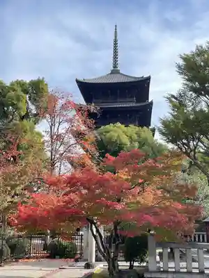 東寺（教王護国寺）(京都府)