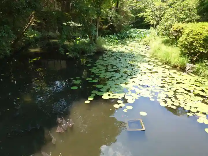 石清水八幡宮(京都府)