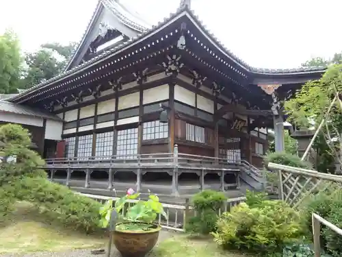 妙蓮寺の本殿・本堂