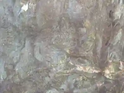 根生院(東京都)