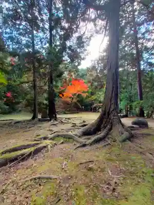 弘川寺(大阪府)