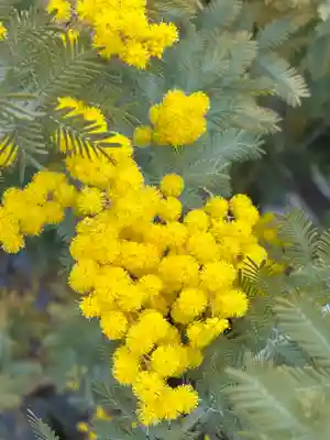 遍照寺(兵庫県)