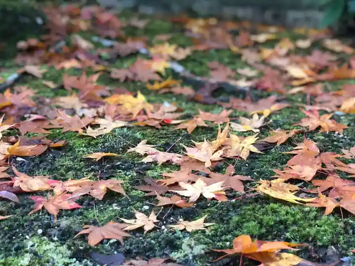 木舟山 順教寺の自然