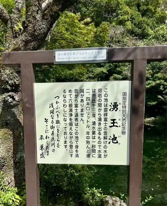 富士山本宮浅間大社(静岡県)