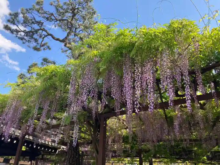 葛井寺(大阪府)