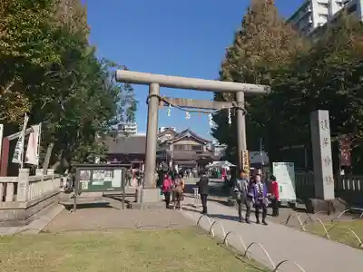 浅草神社の鳥居