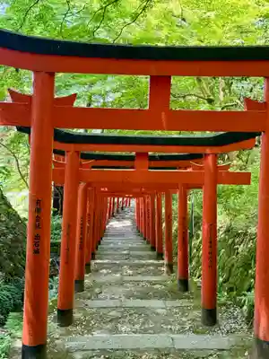 有子山稲荷神社(兵庫県)