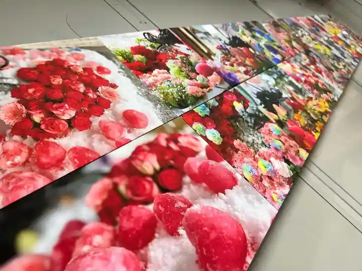 札幌諏訪神社の芸術