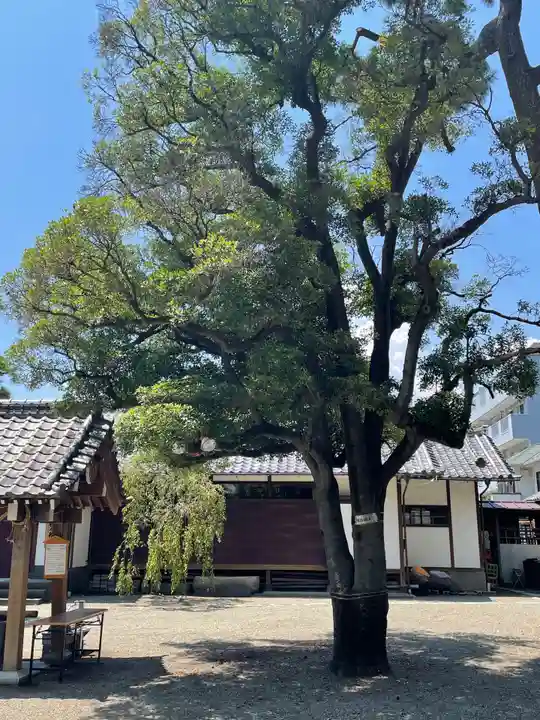 栗原氷川神社の自然