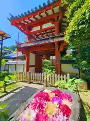 岡寺（龍蓋寺）(奈良県)