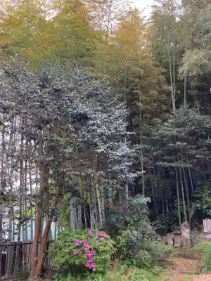 正蔵院(神奈川県)