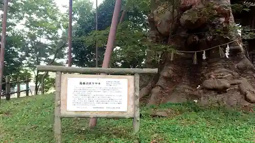 稲荷神社のその他建物