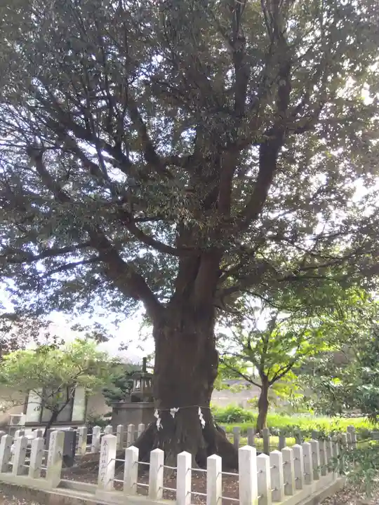 春日神社(福井県)