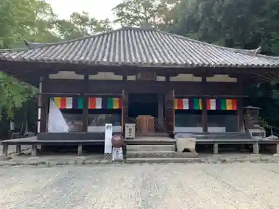 石手寺の本殿・本堂