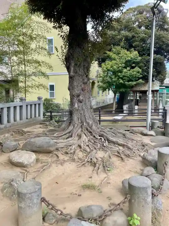 岩淵八雲神社(東京都)