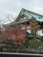 金剛寺の{uncategorized: "未分類", other: "その他", undefined: "問題あり", building: "その他建物", grave: "お墓", sacred_gate: "鳥居", guardian: "狛犬", statue: "像", buddha: "仏像", history: "歴史", nature: "自然", garden: "庭園", animal: "動物", pagoda: "塔", temizu: "手水舎", mountain_gate: "山門・神門", sanctuary: "本殿・本堂", subordinate: "末社・摂社", art: "芸術", scenery: "景色", jizo: "地蔵", ema: "絵馬", goshuin: "御朱印", omikuji: "おみくじ", items: "授与品その他", amulet: "お守り", goshuincho: "御朱印帳", eats: "食事", festival: "お祭り", votive_dance: "神楽", shichigosan: "七五三参", wedding: "結婚式", experience: "体験その他", initially: "初詣", around: "周辺", anti_infection: "感染症対策"}