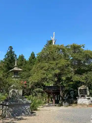 鏡徳寺の庭園