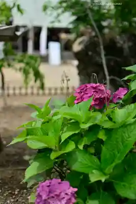 鎌数伊勢大神宮(千葉県)