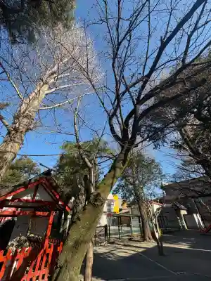 五方山熊野神社(東京都)