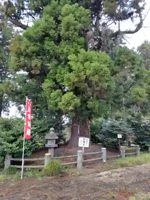 小川温泉神社(栃木県)