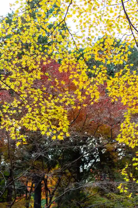 大矢田神社(岐阜県)