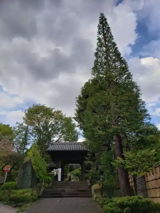 東長谷寺 薬王院の山門・神門