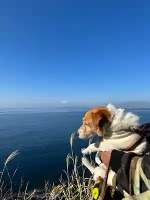 江島神社(神奈川県)