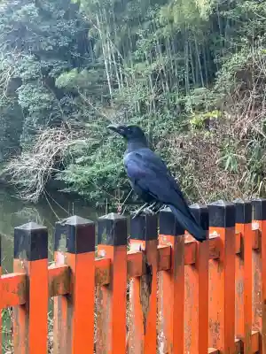 伏見稲荷大社の{uncategorized: "未分類", other: "その他", undefined: "問題あり", building: "その他建物", grave: "お墓", sacred_gate: "鳥居", guardian: "狛犬", statue: "像", buddha: "仏像", history: "歴史", nature: "自然", garden: "庭園", animal: "動物", pagoda: "塔", temizu: "手水舎", mountain_gate: "山門・神門", sanctuary: "本殿・本堂", subordinate: "末社・摂社", art: "芸術", scenery: "景色", jizo: "地蔵", ema: "絵馬", goshuin: "御朱印", omikuji: "おみくじ", items: "授与品その他", amulet: "お守り", goshuincho: "御朱印帳", eats: "食事", festival: "お祭り", votive_dance: "神楽", shichigosan: "七五三参", wedding: "結婚式", experience: "体験その他", initially: "初詣", around: "周辺", anti_infection: "感染症対策"}