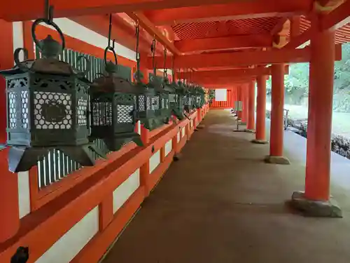 春日大社(奈良県)