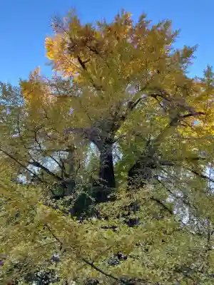 水戸八幡宮(茨城県)