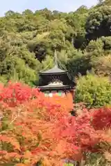 禅林寺（永観堂）(京都府)