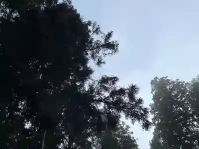 大宮温泉神社(栃木県)