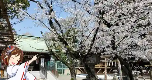 香取神社の自然