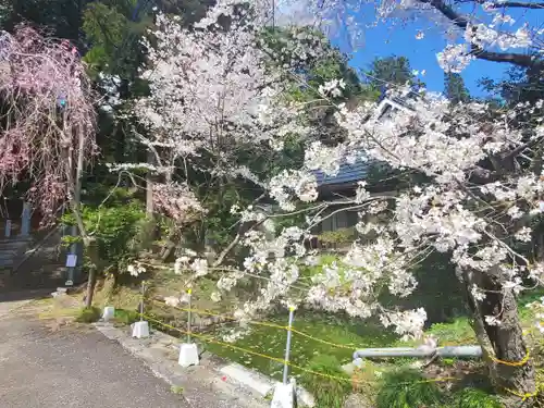 稲田神社(茨城県)