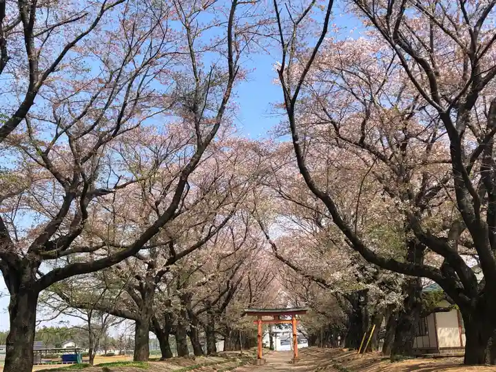 東蕗田天満社の自然