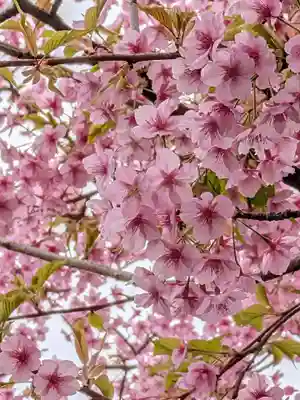 源空寺(東京都)