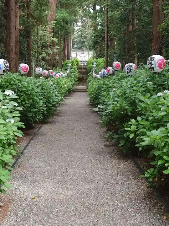 磯山神社(栃木県)