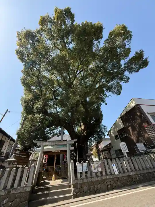 大神社の{uncategorized: "未分類", other: "その他", undefined: "問題あり", building: "その他建物", grave: "お墓", sacred_gate: "鳥居", guardian: "狛犬", statue: "像", buddha: "仏像", history: "歴史", nature: "自然", garden: "庭園", animal: "動物", pagoda: "塔", temizu: "手水舎", mountain_gate: "山門・神門", sanctuary: "本殿・本堂", subordinate: "末社・摂社", art: "芸術", scenery: "景色", jizo: "地蔵", ema: "絵馬", goshuin: "御朱印", omikuji: "おみくじ", items: "授与品その他", amulet: "お守り", goshuincho: "御朱印帳", eats: "食事", festival: "お祭り", votive_dance: "神楽", shichigosan: "七五三参", wedding: "結婚式", experience: "体験その他", initially: "初詣", around: "周辺", anti_infection: "感染症対策"}