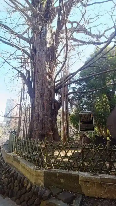 王子神社(東京都)