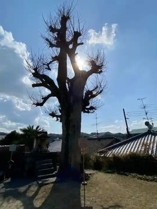 橋寺 放生院の自然