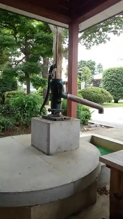 三光院の手水舎