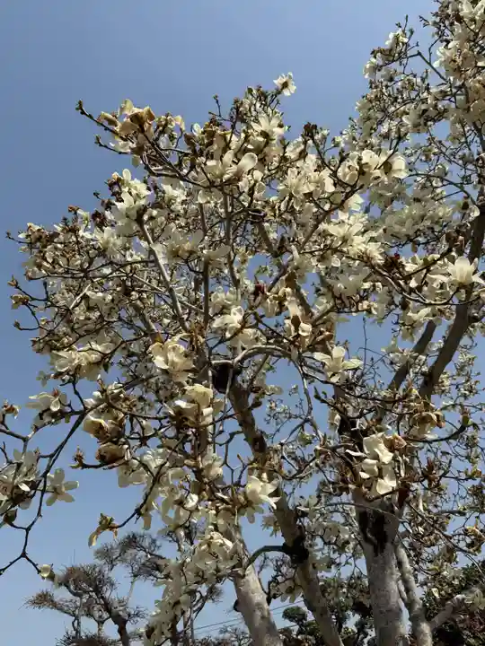 美奈宜神社(福岡県)