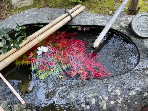 真正極楽寺（真如堂）(京都府)