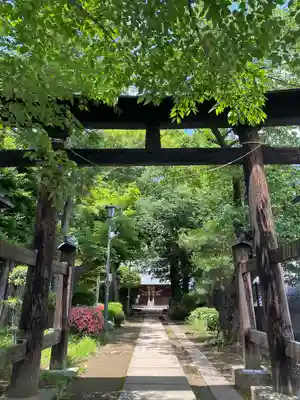 鶴ヶ丸八幡神社(埼玉県)