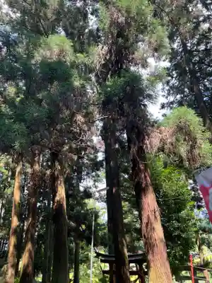 大宮温泉神社(栃木県)