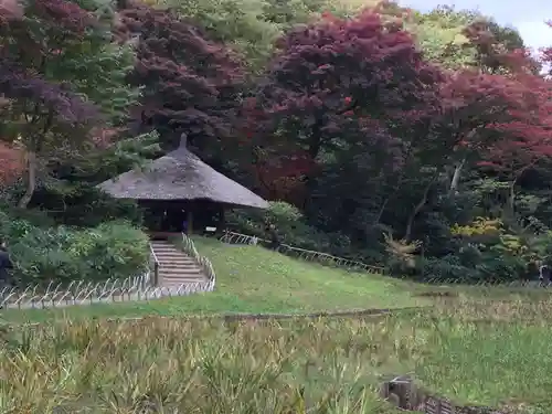 明治神宮の庭園