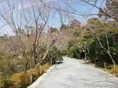 龍安寺の自然