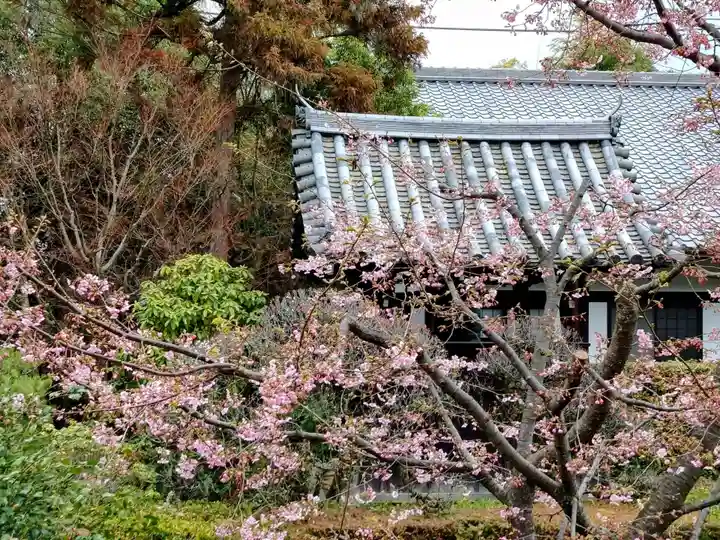 雲龍院(京都府)