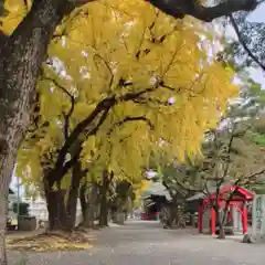 美奈宜神社(福岡県)