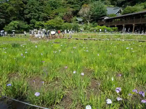 本土寺(千葉県)